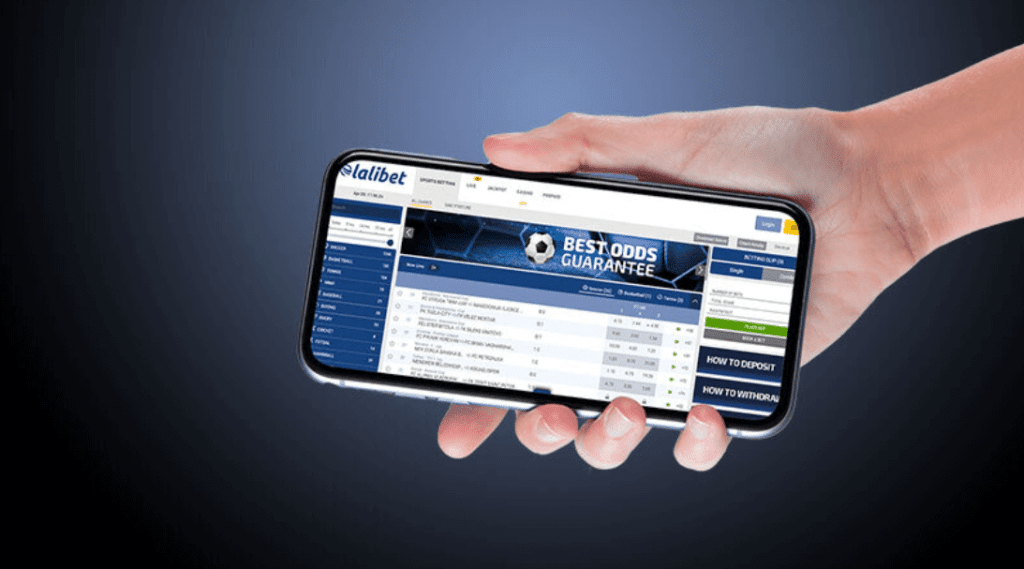 Ilaalcha waliigalaa vershinii mobile Lalibet
