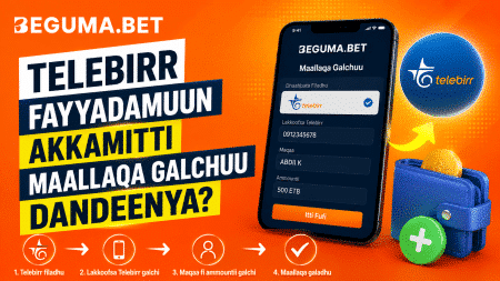 Telebirr fayyadamuun Beguma Bet irratti akkamitti maallaqa galchuu dandeenya?